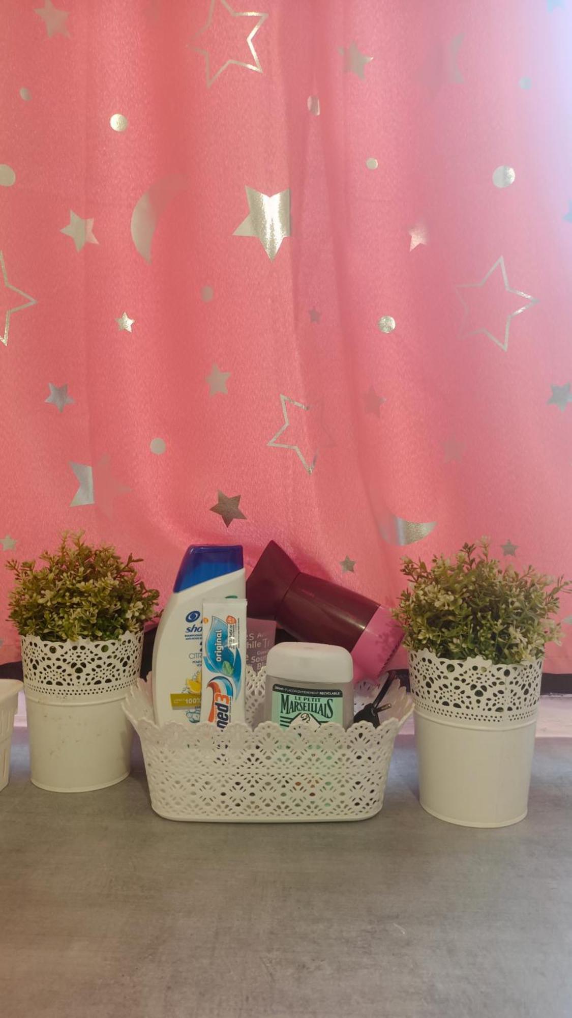 Bienvenue A Paris - Appartement Confortable, Grande Terrasse Privee Au Calme, Parking Gratuit Vitry-sur-Seine Εξωτερικό φωτογραφία